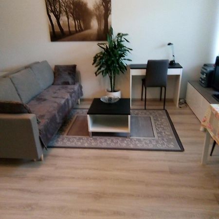 Hyvinkää Parantolankatu Modern One Room Apartment מראה חיצוני תמונה