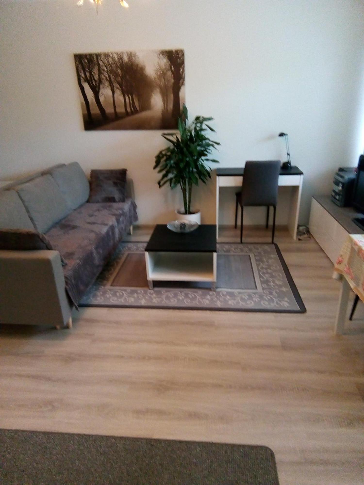 Hyvinkää Parantolankatu Modern One Room Apartment מראה חיצוני תמונה